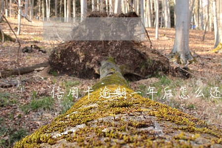 信用卡逾期一年后怎么还