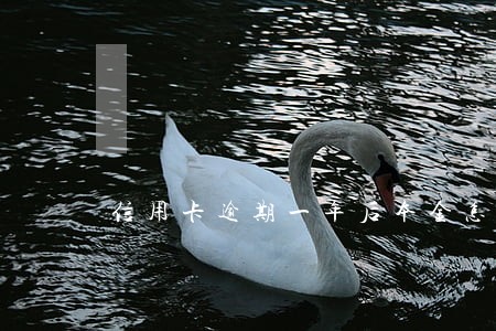 信用卡逾期一年后本金怎么算 信用卡逾期一年后本金怎么算