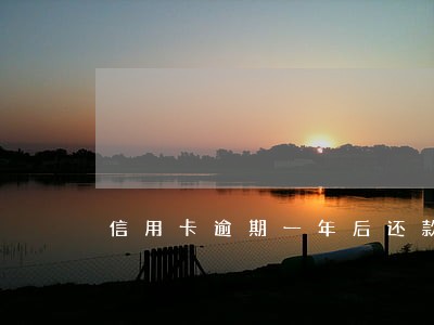 信用卡逾期一年后还款