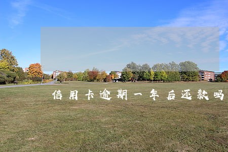 信用卡逾期一年后还款吗 信用卡逾期一年后还款吗