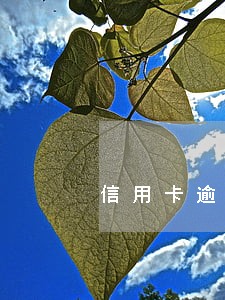 信用卡逾期一年后还款方式 信用卡逾期一年后还款方式