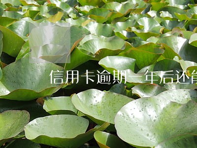 信用卡逾期一年后还能再用吗 信用卡逾期一年后还能再用吗