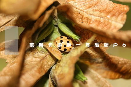 信用卡逾期一年后销户6 信用卡逾期一年后销户6