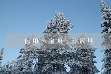 信用卡逾期一年周期