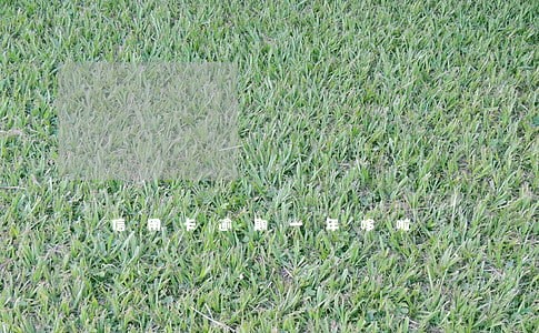 信用卡逾期一年哆啦 信用卡逾期一年哆啦
