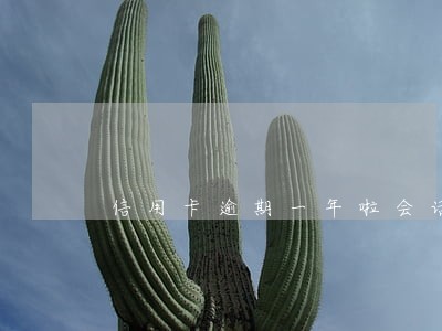 信用卡逾期一年啦会话网逃吗