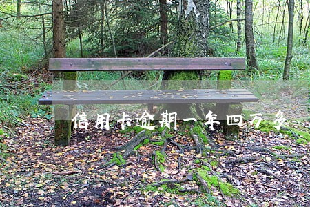 信用卡逾期一年四万多 信用卡逾期一年四万多