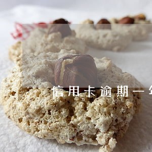 信用卡逾期一年多了会坐牢么 信用卡逾期一年多了会坐牢么