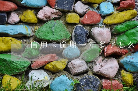 信用卡逾期一年多了怎么还 信用卡逾期一年多了怎么还