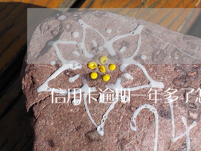 信用卡逾期一年多了怎么还清 信用卡逾期一年多了怎么还清