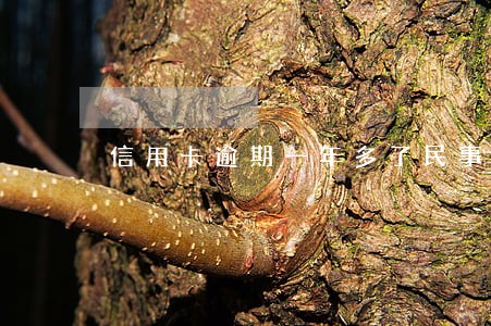 信用卡逾期一年多了民事责任
