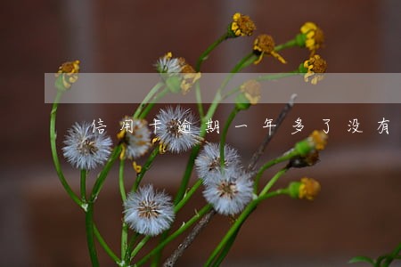 信用卡逾期一年多了没有还 信用卡逾期一年多了没有还