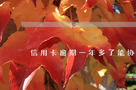 信用卡逾期一年多了能协商吗 信用卡逾期一年多了能协商吗