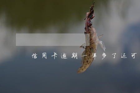 信用卡逾期一年多了还可以吗