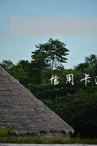 信用卡逾期一年多以后会怎么样 信用卡逾期一年多以后会怎么样