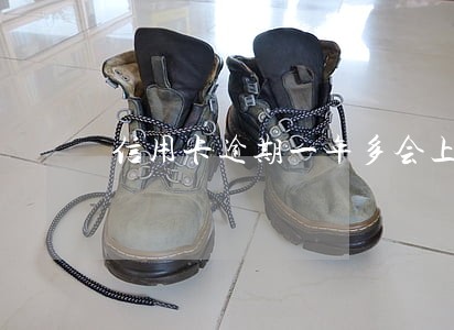 信用卡逾期一年多会上征信么 信用卡逾期一年多会上征信么