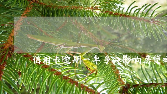 信用卡逾期一年多会影响房贷吗