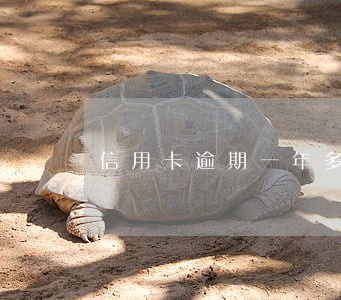 信用卡逾期一年多会怎么办