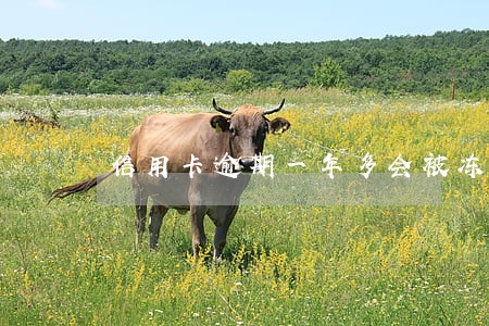 信用卡逾期一年多会被冻结账户 信用卡逾期一年多会被冻结账户