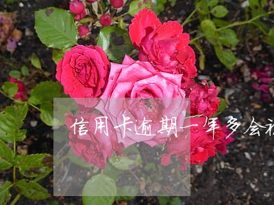 信用卡逾期一年多会被逮捕吗