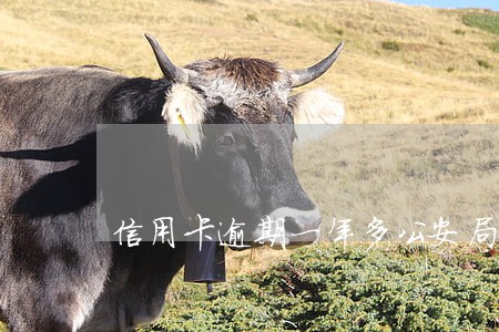 信用卡逾期一年多公安局 信用卡逾期一年多公安局