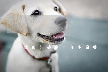 信用卡逾期一年多呆账 信用卡逾期一年多呆账