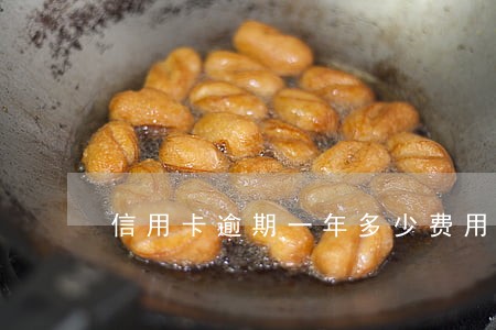 信用卡逾期一年多少费用