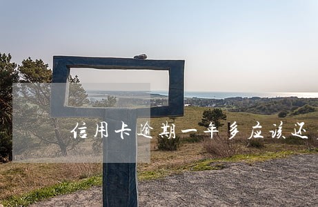 信用卡逾期一年多应该还多少 信用卡逾期一年多应该还多少