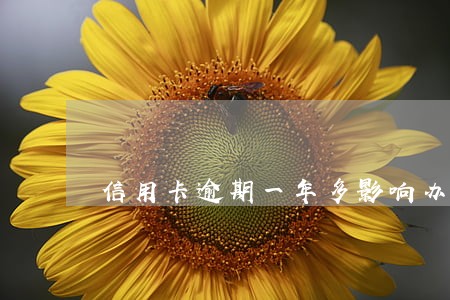 信用卡逾期一年多影响办理房贷 信用卡逾期一年多影响办理房贷