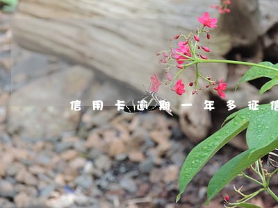 信用卡逾期一年多征信如何显示 信用卡逾期一年多征信如何显示