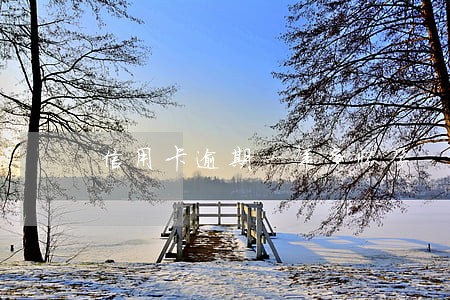 信用卡逾期一年多怀孕 信用卡逾期一年多怀孕