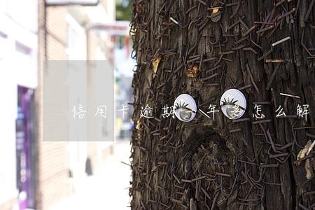 信用卡逾期一年多怎么解决 信用卡逾期一年多怎么解决