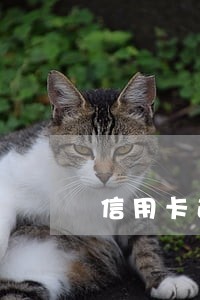信用卡逾期一年多每个月还几十 信用卡逾期一年多每个月还几十