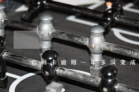 信用卡逾期一年多没变成老赖 信用卡逾期一年多没变成老赖