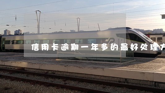 信用卡逾期一年多的最好处理方式 信用卡逾期一年多的最好处理方式