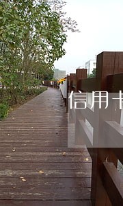信用卡逾期一年多能不能考驾照