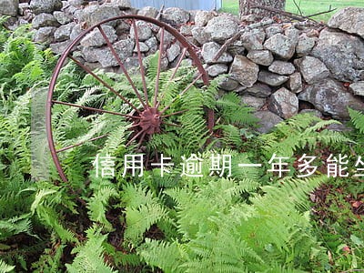 信用卡逾期一年多能坐飞机吗 信用卡逾期一年多能坐飞机吗