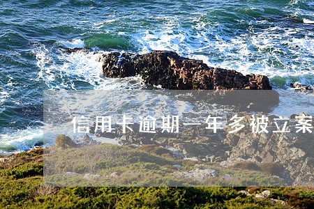 信用卡逾期一年多被立案会怎样 信用卡逾期一年多被立案会怎样
