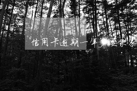 信用卡逾期一年多要来家访怎么办 信用卡逾期一年多要来家访怎么办