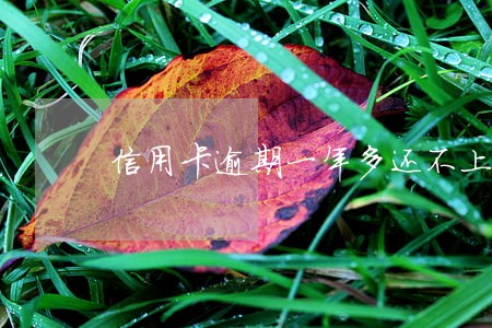 信用卡逾期一年多还不上 信用卡逾期一年多还不上