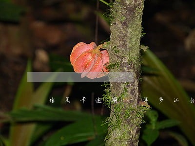 信用卡逾期一年多还会被拘留吗