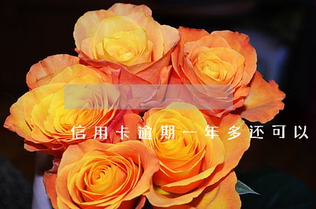 信用卡逾期一年多还可以消除吗 信用卡逾期一年多还可以消除吗