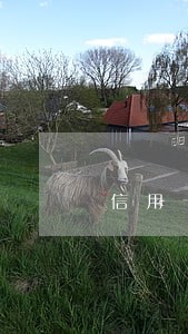 信用卡逾期一年多还完