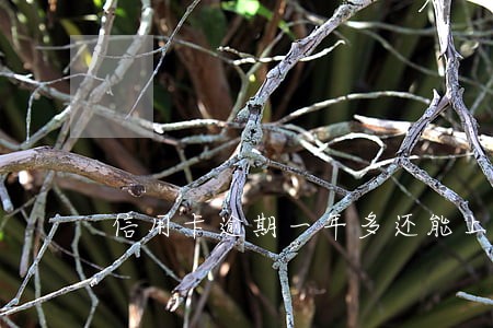 信用卡逾期一年多还能上征信吗