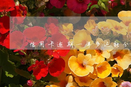信用卡逾期一年多还能分期吗 信用卡逾期一年多还能分期吗