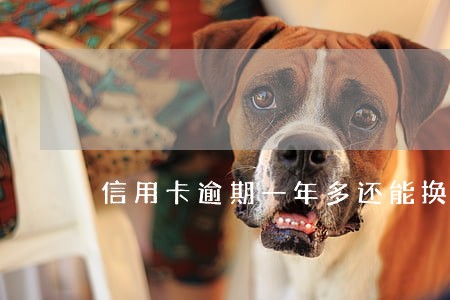 信用卡逾期一年多还能换吗 信用卡逾期一年多还能换吗