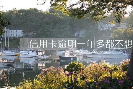 信用卡逾期一年多都不想活了 信用卡逾期一年多都不想活了