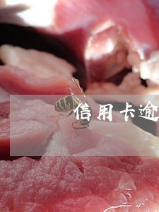信用卡逾期一年如何与银行协商 信用卡逾期一年如何与银行协商