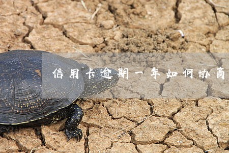 信用卡逾期一年如何协商分期吗 信用卡逾期一年如何协商分期吗