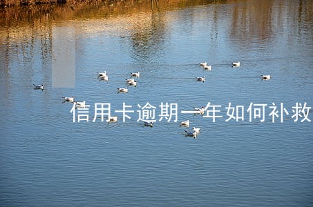信用卡逾期一年如何补救